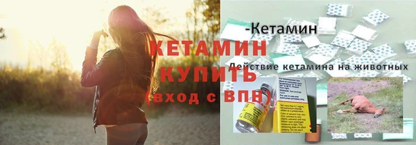 дживик Пересвет