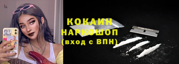 дживик Пересвет