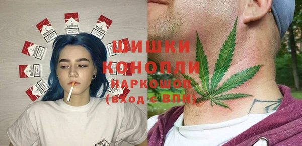 дживик Пересвет