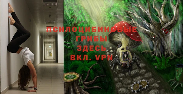 ECSTASY Покачи