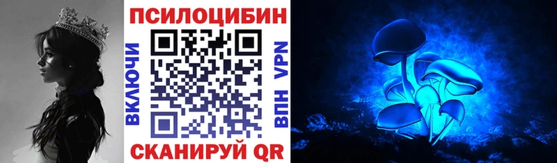 цена наркотик  Отрадная  Псилоцибиновые грибы Cubensis 